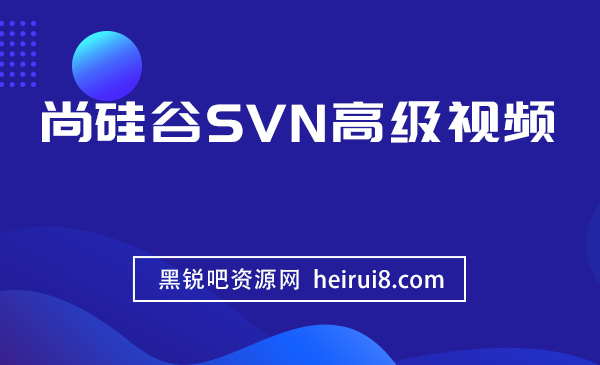 尚硅谷SVN高级视频Java培训教程下载